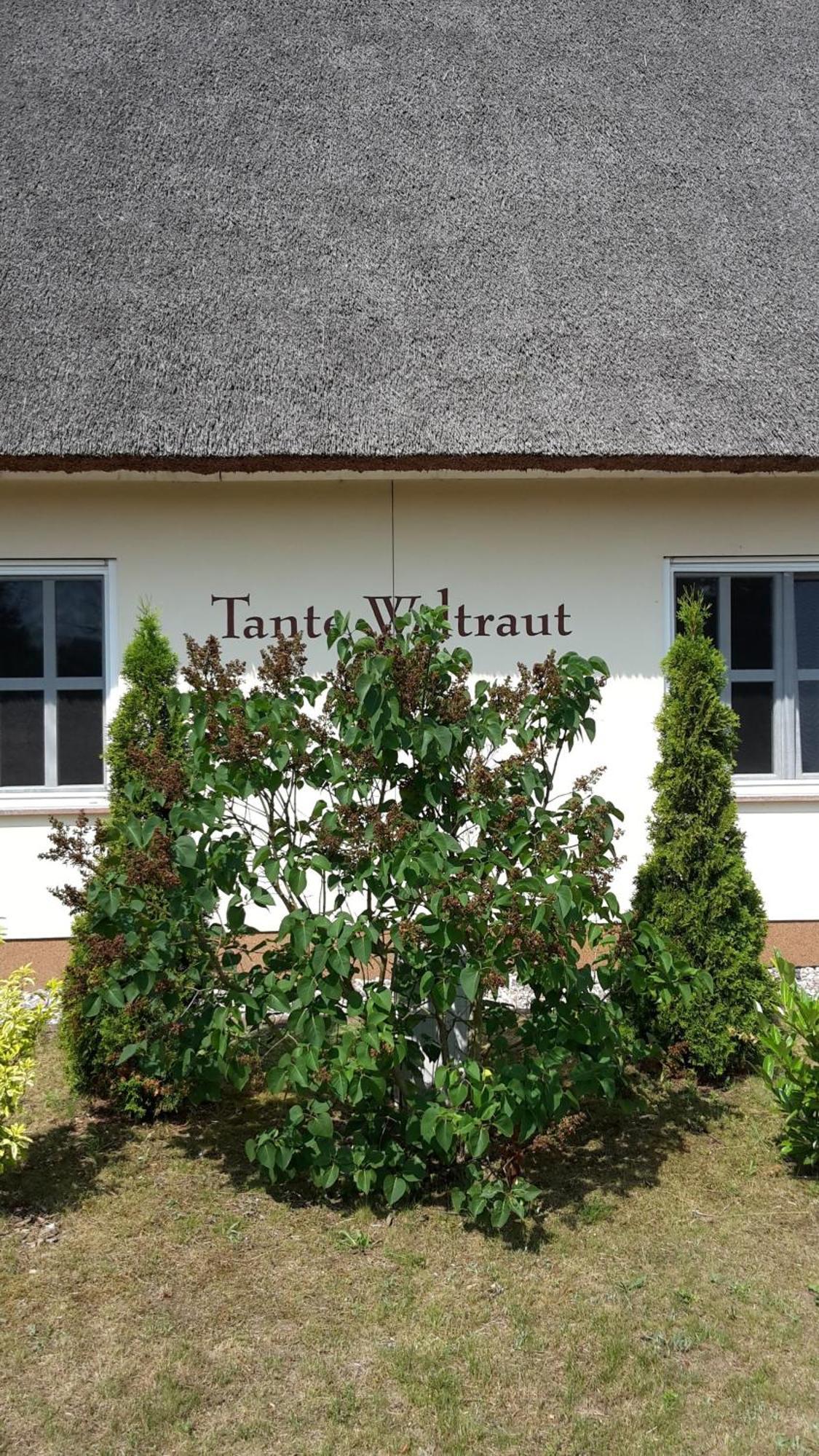 Haeuschen "Tante Waltraut" Villa Garz  Ngoại thất bức ảnh